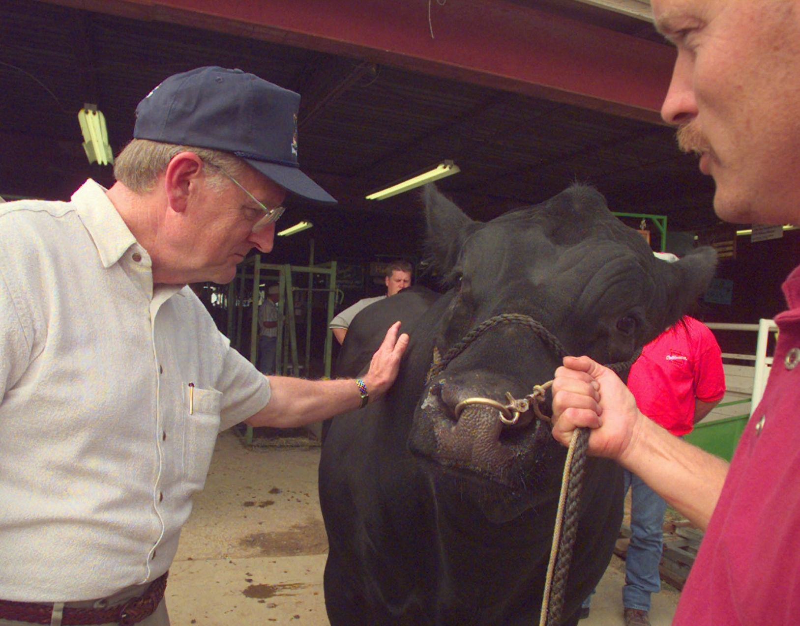 1998: Governors and animals